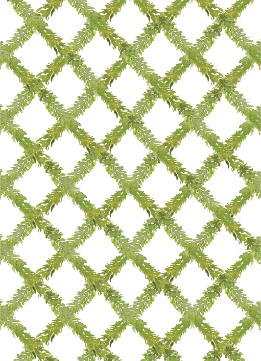 Boxwood Greenery