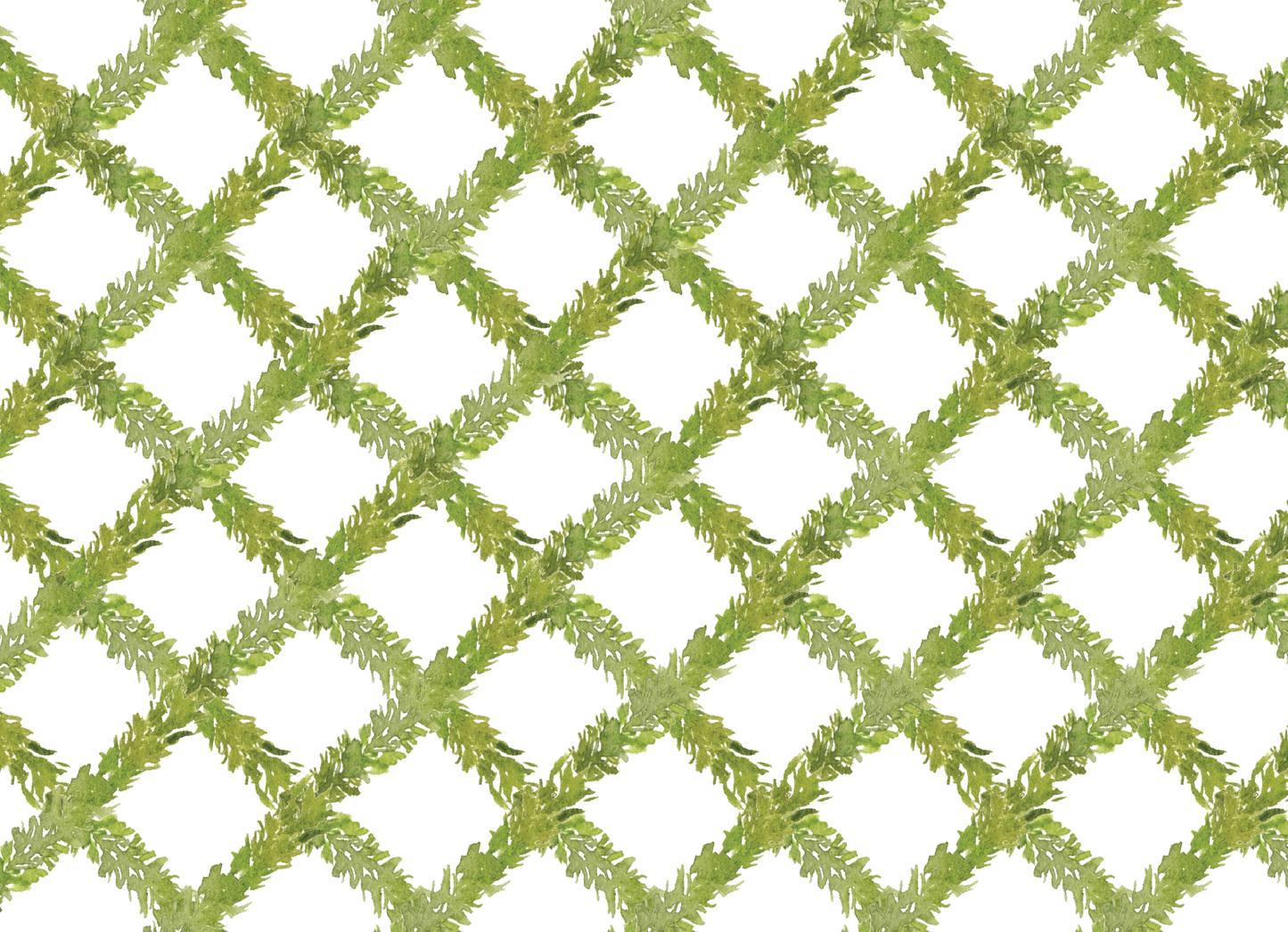 Boxwood Greenery Landscape